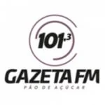 Logo da rádio Rádio Gazeta 101.3 FM ao vivo online