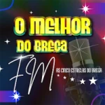Logo da rádio Rádio O Melhor Do Brega ao vivo online