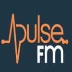 Logo da rádio Rádio Pulse FM Brasil ao vivo online