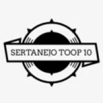 Logo da rádio Rádio Sertanejo Toop 10 ao vivo online
