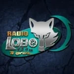 Logo da rádio Radio Lobo 93.4 FM ao vivo online