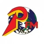 Logo da rádio Rádio Positiva 98.5 FM ao vivo online