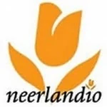Logo da rádio Neerlandio ao vivo online