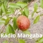 Logo da rádio Rádio Mangaba ao vivo online
