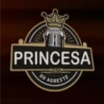 Logo da rádio Rádio Princesa do Agreste ao vivo online