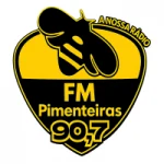 Logo da rádio Rádio Pimenteiras FM ao vivo online