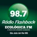 Logo da rádio Rádio Ecológica 98.7 FM ao vivo online