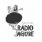 Logo da rádio Rádio Jagube 100.3 FM ao vivo online