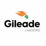 Logo da rádio Rádio Gileade Limoeiro ao vivo online