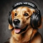 Logo da rádio Jurema Web Rádio ao vivo online