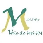 Logo da rádio Rádio Vale do Mel 100.7 FM ao vivo online
