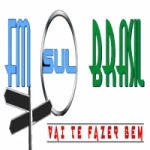 Logo da rádio Rádio FM Sul Brasil ao vivo online