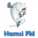 Logo da rádio Radio Hamsi FM ao vivo online