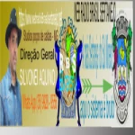 Logo da rádio Web Rádio Brasil Sertanejo ao vivo online