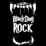 Logo da rádio Rádio Black Dog Rock ao vivo online