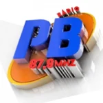 Logo da rádio Rádio Pedra Branca 87.9 FM ao vivo online