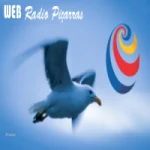 Logo da rádio Rádio Piçarras ao vivo online