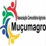 Logo da rádio Rádio Web Muçumagro FM ao vivo online
