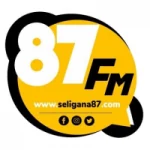 Logo da rádio Rádio Barra 87.9 FM ao vivo online