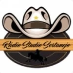 Logo da rádio Rádio Studio Sertanejo ao vivo online