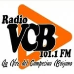 Logo da rádio Radio La Voz del Campesino Borjano 101.1 FM ao vivo online