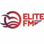 Logo da rádio Rádio Elite 101.7 FM ao vivo online