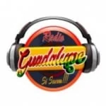 Logo da rádio Radio Guadalupe 103.1 FM ao vivo online