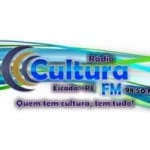 Logo da rádio Rádio Cultura 98.5 FM ao vivo online