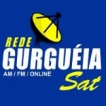 Logo da rádio Rede Gurguéia Sat 87.9 FM ao vivo online