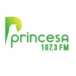 Logo da rádio Rádio Princesa 107.3 FM ao vivo online