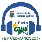 Logo da rádio Rádio Cajuí FM ao vivo online