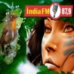 Logo da rádio Rádio Índia 87.9 FM ao vivo online
