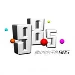 Logo da rádio Radio Foshan Music 98.5 FM ao vivo online
