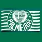 Logo da rádio Rádio Clube Palmeiras ao vivo online
