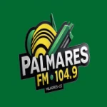 Logo da rádio Rádio Palmares 104.9 FM ao vivo online