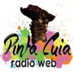 Logo da rádio Pinta Cuia Rádio Web ao vivo online