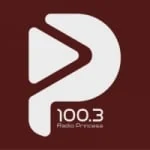 Logo da rádio Rádio Princesa 100.3 FM ao vivo online