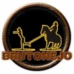 Logo da rádio Rádio Brutonejo ao vivo online