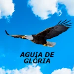 Logo da rádio Rádio Aguia de Glória ao vivo online