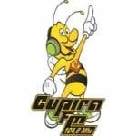 Logo da rádio Rádio Cupira 104.9 FM ao vivo online