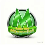 Logo da rádio Web Rádio Magueiral ao vivo online
